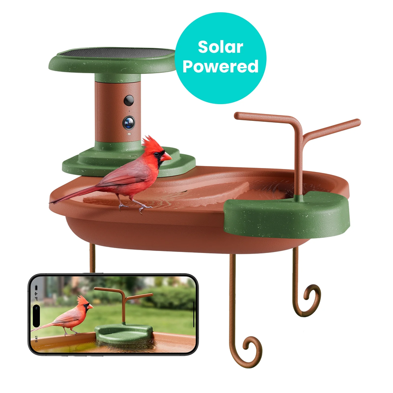 Smart Bird Bath with Camera Solar Powered, AI Identify, Live View, Instant Notif8
