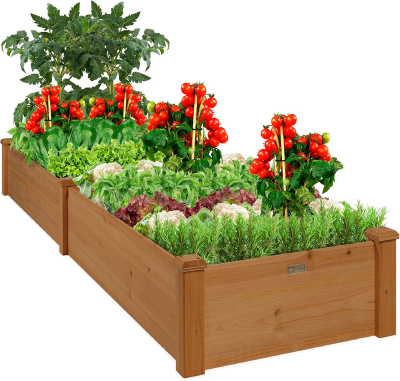 8FT Outdoor Wooden Raised Garden Bed Planter - Acorn Brown for Vegetables0