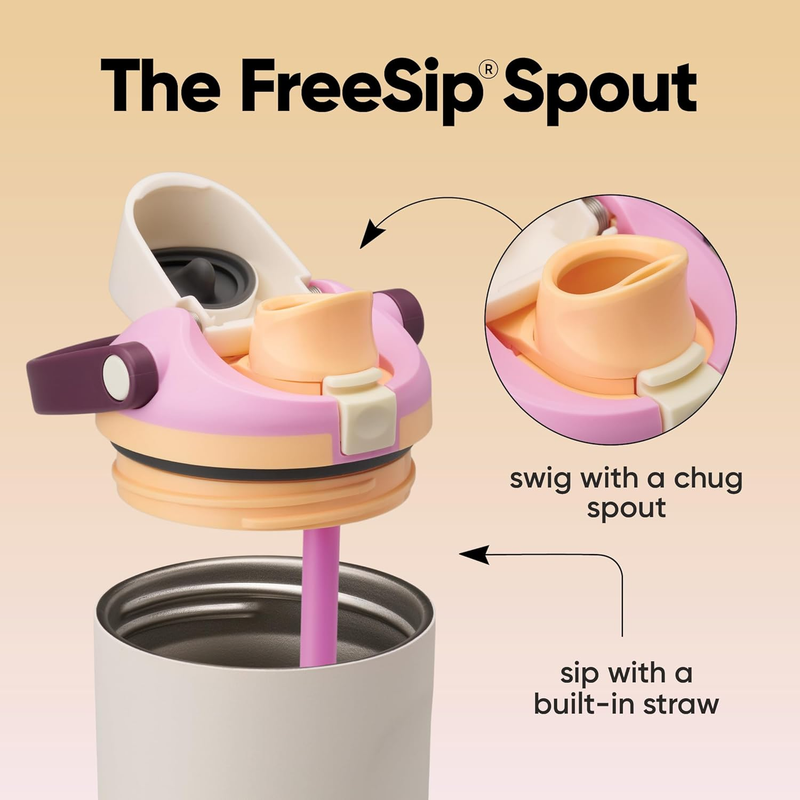 Owala FreeSip Sway 30oz Insulated Stainless Steel Bottle Daybreak1