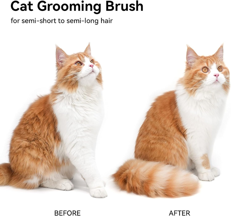 Cat Brush Shedding Cats Long Short Hair Grooming Massage Removes Loose Fur Pet8