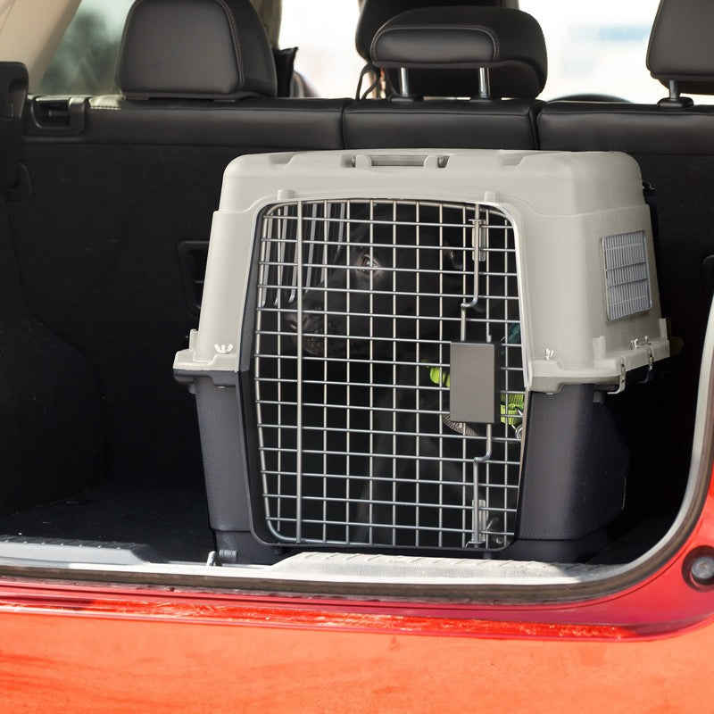 Airline Approved Plastic Dog Kennel with Wheels, Medium7