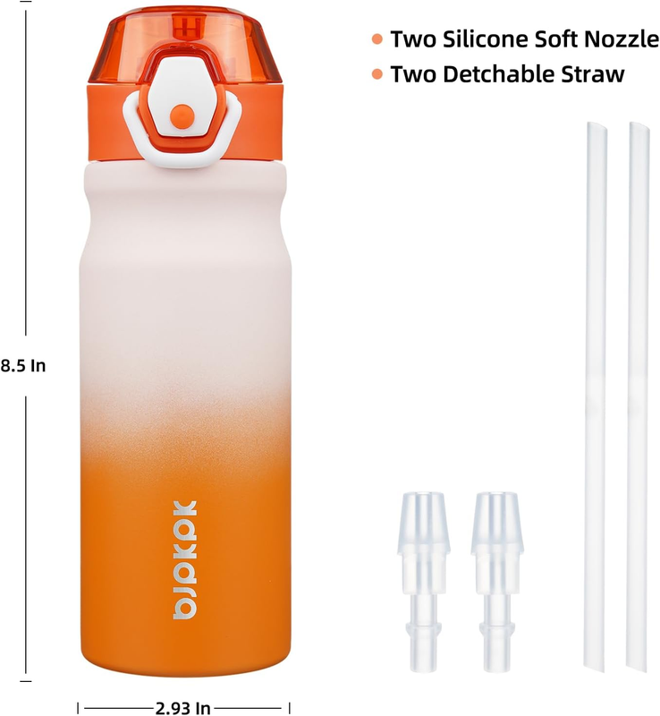 Stainless Steel Insulated Water Bottle with Straw Lid 18Oz Reusable Metal Therma3