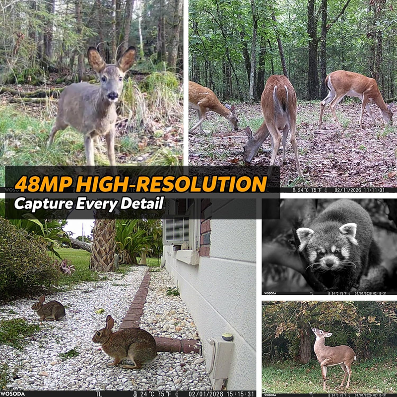 3 Pack 48MP 4K Trail Cameras Night Vision IP66 Motion 120° LCD Wildlife Cam2