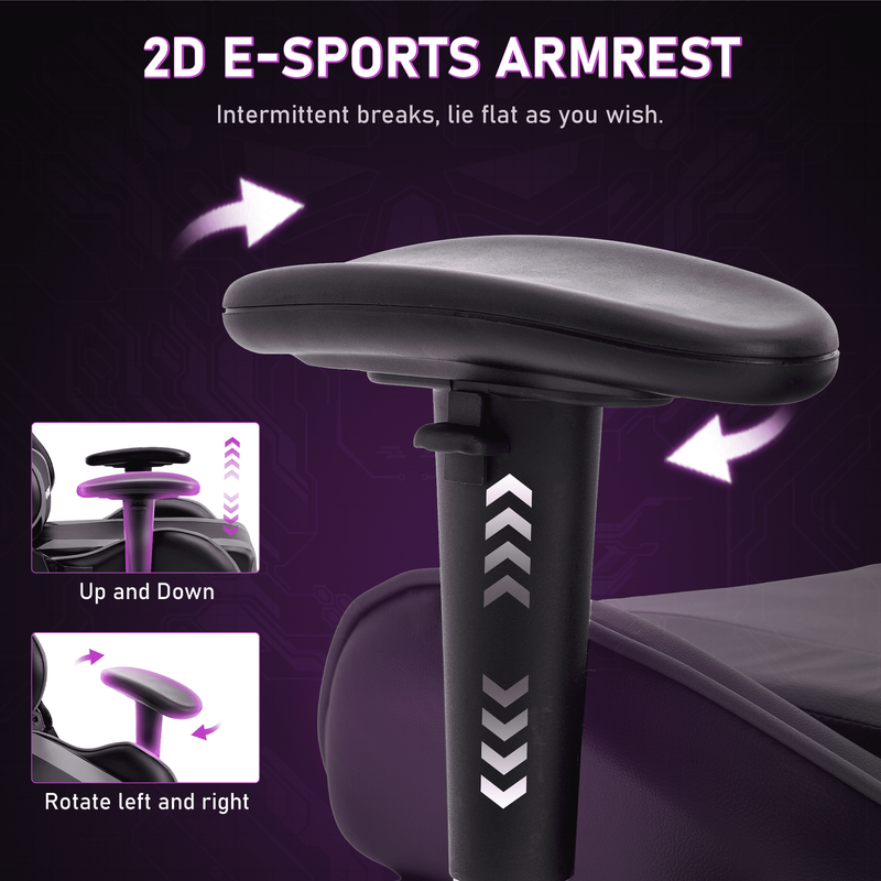 Game Chair,Ergonomically Designed Computer Chair with Headrest and 2D Armrests,W3