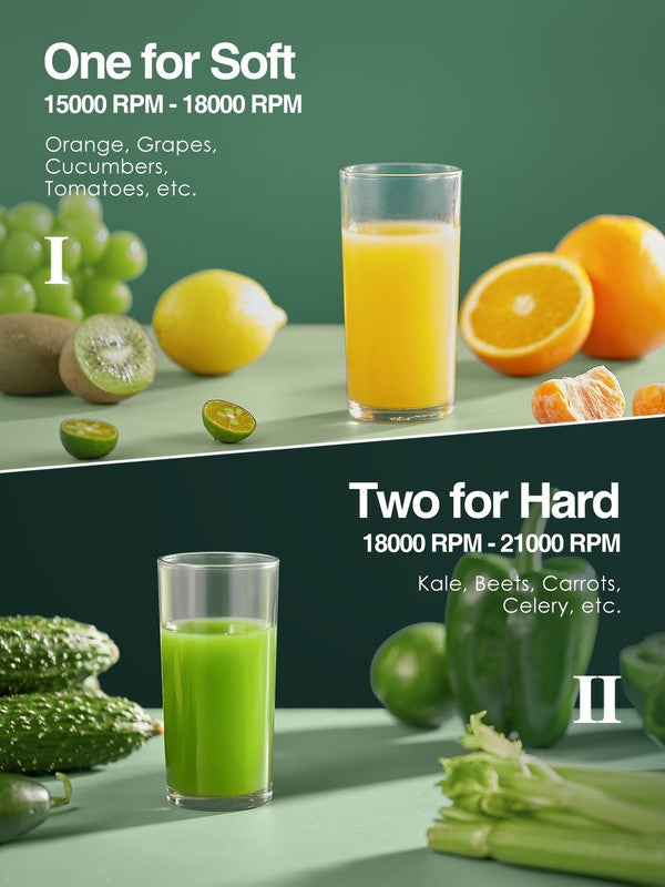 400 W 25 Oz 2 Speed Masticating Juicer, Silver1