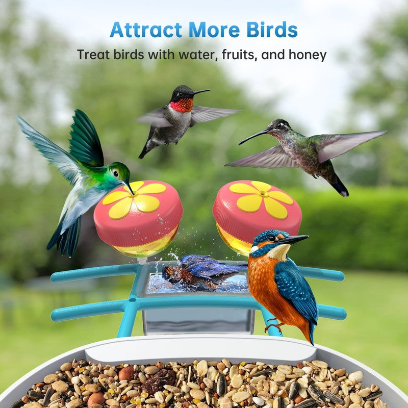 Smart Bird Feeder with Camera-2L Solar Bird House with Camera-Ai Recognition Bir2