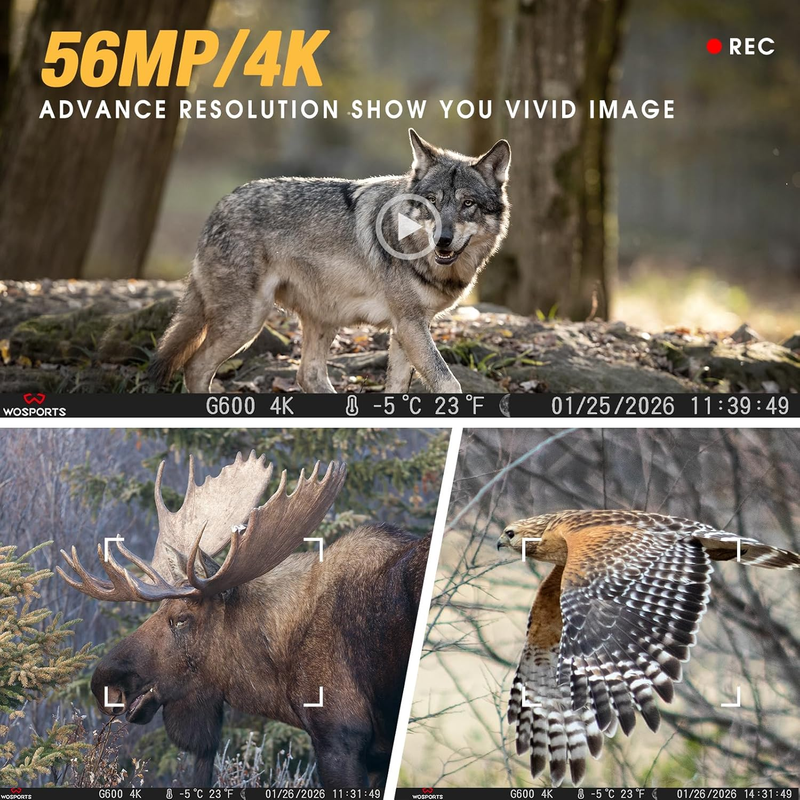 2 Pack 56MP 4K Trail Rechargeable 0.2S Night Vision Motion 120° Wildlife Cam4