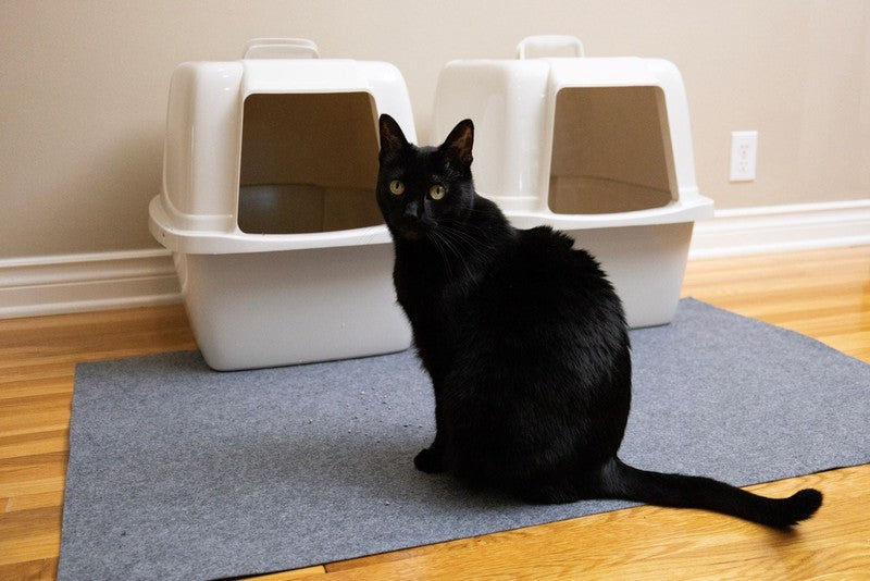 Jumbo Cat Litter Box Mat   100% Phthalate and BPA Free; Machine Washable; Soft o10