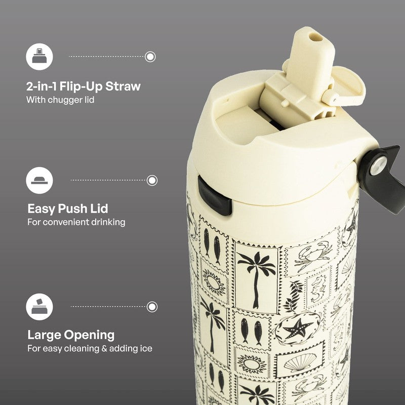 24oz Stainless Steel 2-in-1 Water Bottle with Straw and Chug Lid Shell Design2