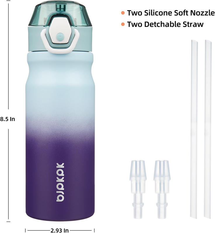 18oz Insulated Water Bottle Straw Lid Stainless Steel Ocean Dream3