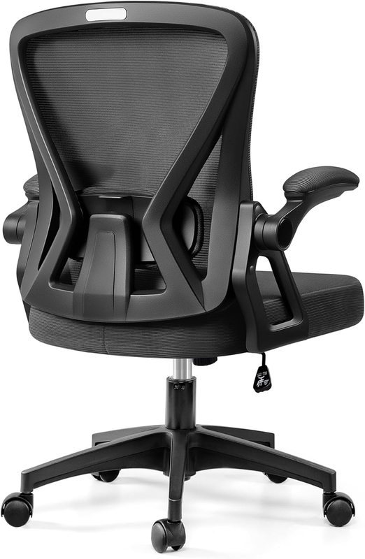 Ergonomic Mesh Office Chair with Adjustable Lumbar Support & Flip-Up Armrests0