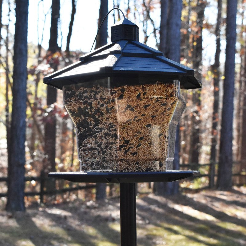 Earth Smart Black Recycled Plastic Hopper Bird Feeder, 6 lb Capacity, 11.5" Tall7