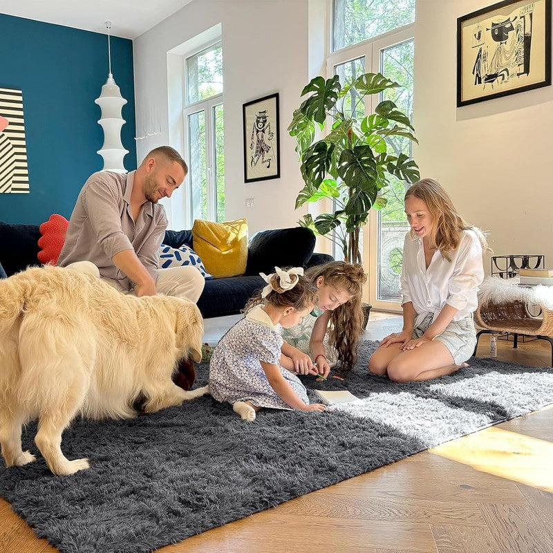 Area Rugs for Living Room Bedroom, Machine Washable 4X5.9 Ft Soft Fluffy Shaggy 6