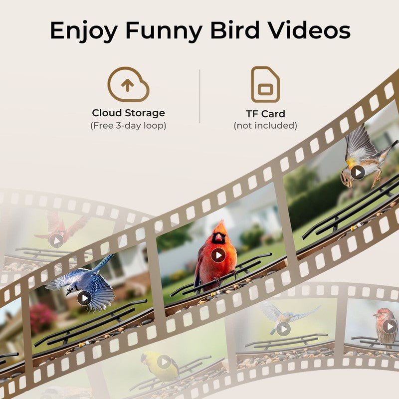 Smart Cedar Wood Bird Feeder w/ Camera, Solar, AI ID 10,000+ Birds3
