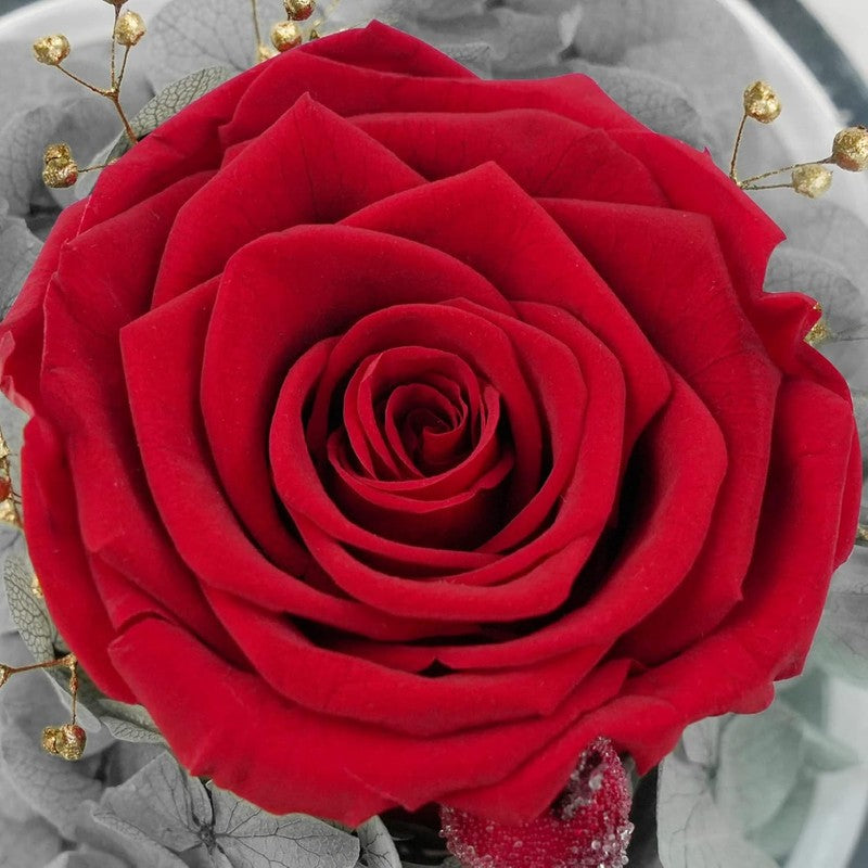Christmas Rose Gifts for Women, Preserved Flower Birthday Gifts for Mom Grandma,8