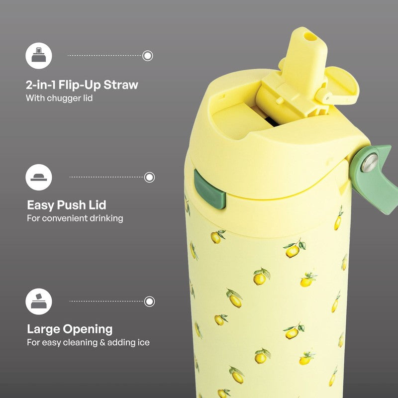 24Oz Stainless Steel 2-In-1 Water Bottle with Straw and Chug Lid, Lemon2