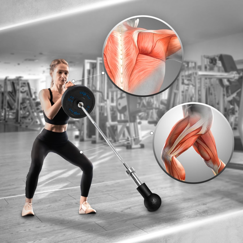 Exercise Machine Adjustable T Bar Row Attachment, D Row Handle/Landmine Handle A4