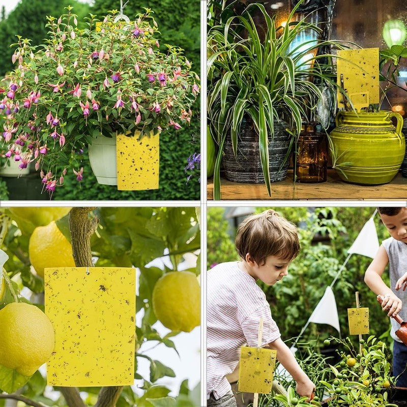 20-Pack Yellow Sticky Traps for Flying Insects - 6x8 Inches with Twist Ties5