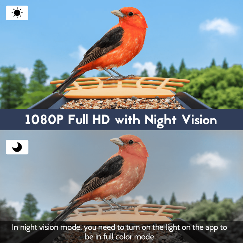 Smart Bird Feeder w 1080P HD Camera AI ID 10,000+ Species Seed Guard1