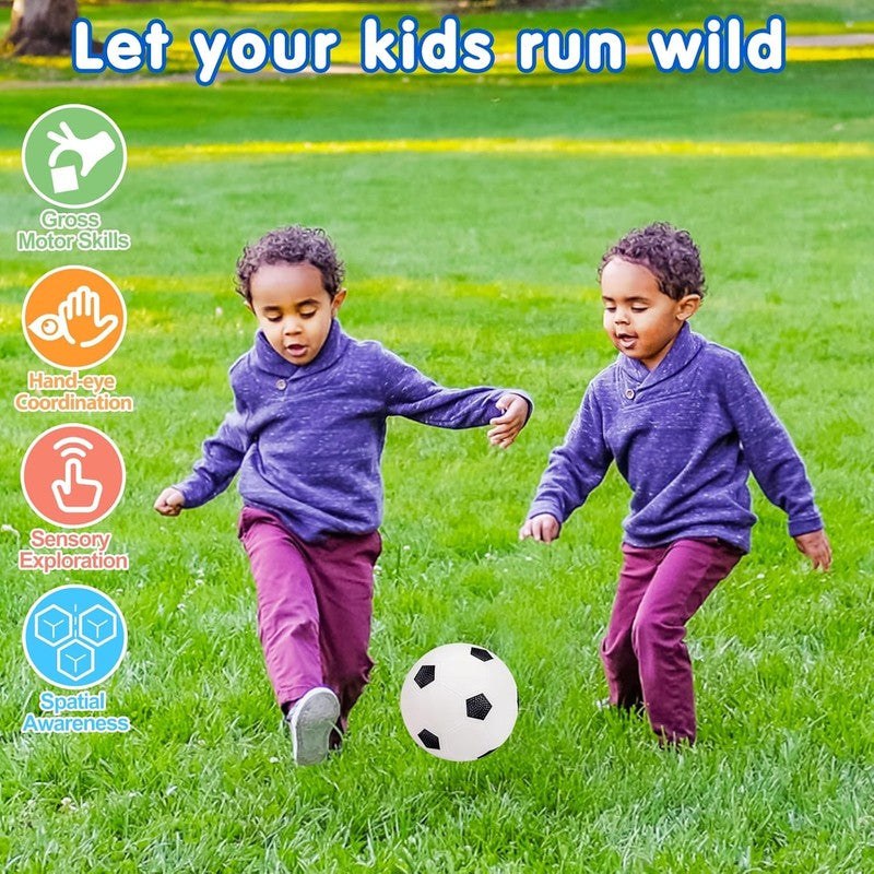 5 Pack Toddler Sports Balls Set Football Soccer Basketball Baseball w/ Bag4