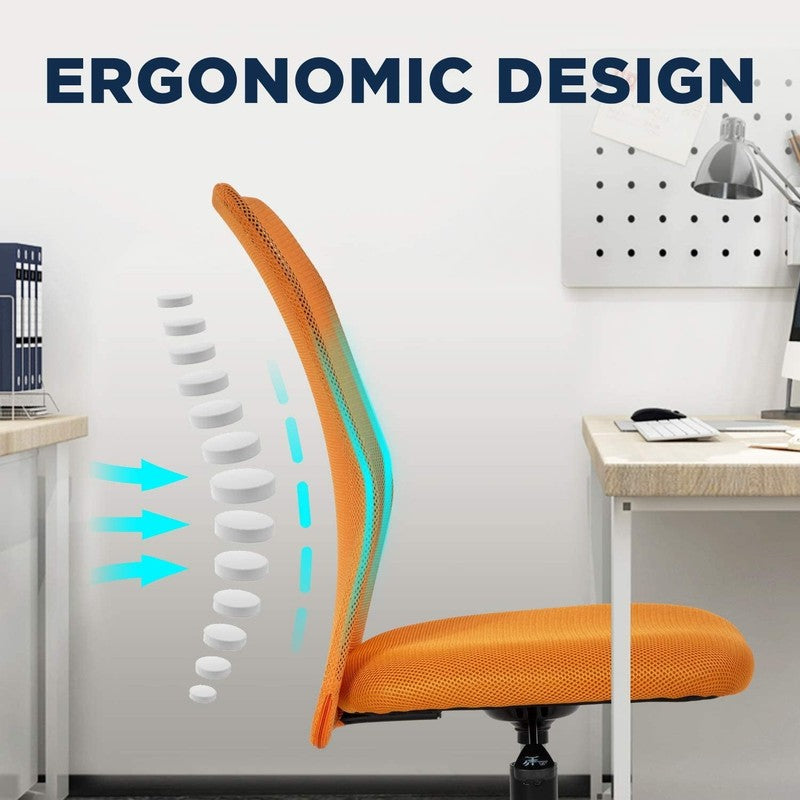 Ergonomic Armless Office Chair with Adjustable Height, Lumbar Support for Adults2