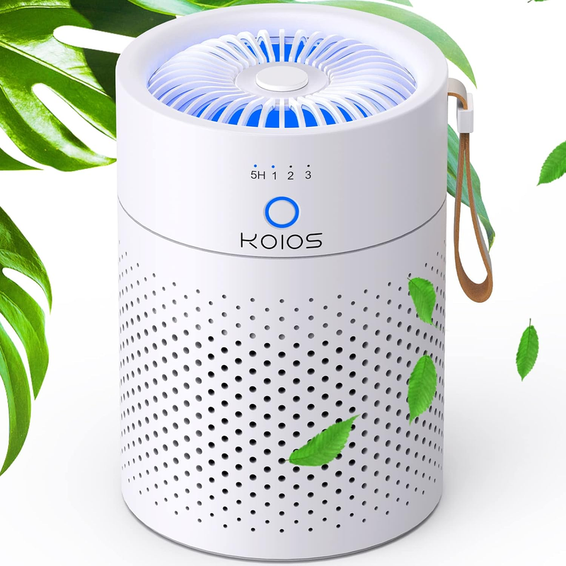 Air Purifier H13 HEPA USB Small w/ Night Light Timer for Smoke Pets Car0