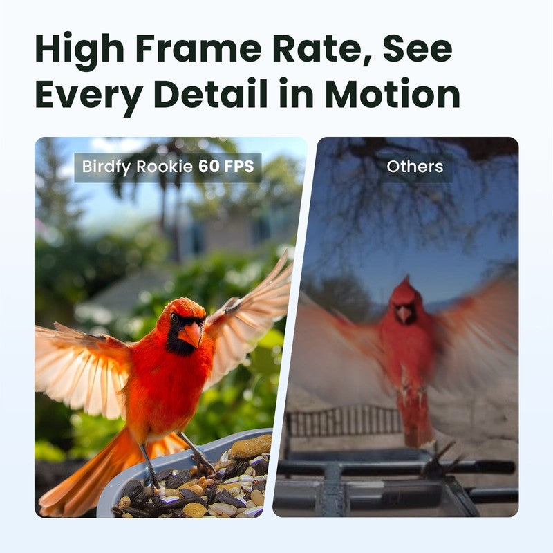 Smart Bird Feeder with Camera, 60FPS Smooth Video, AI Bird Identification & Inst2