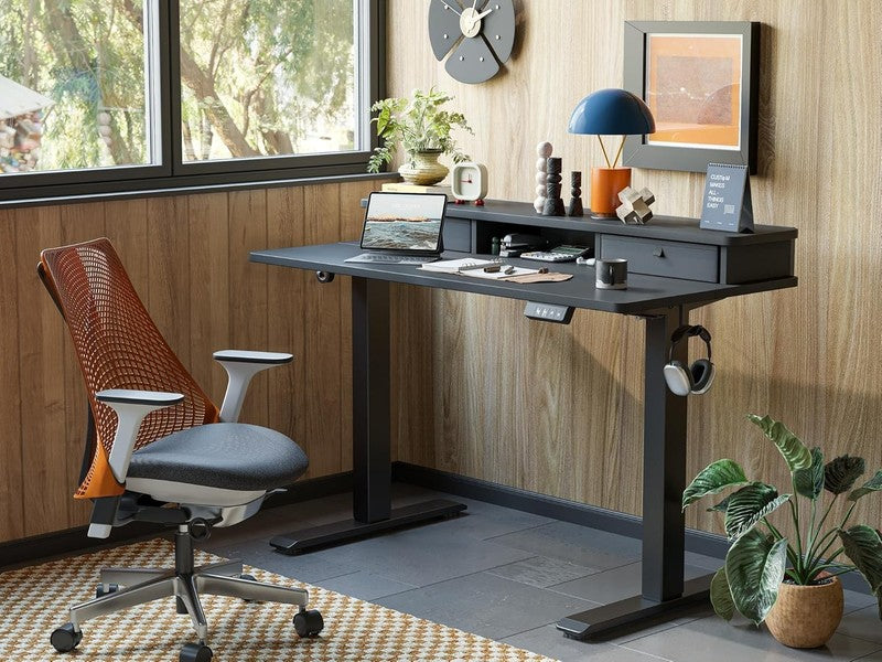 48x24 Standing Desk w/ 2 Drawers Adjustable Electric Sit Stand Black1
