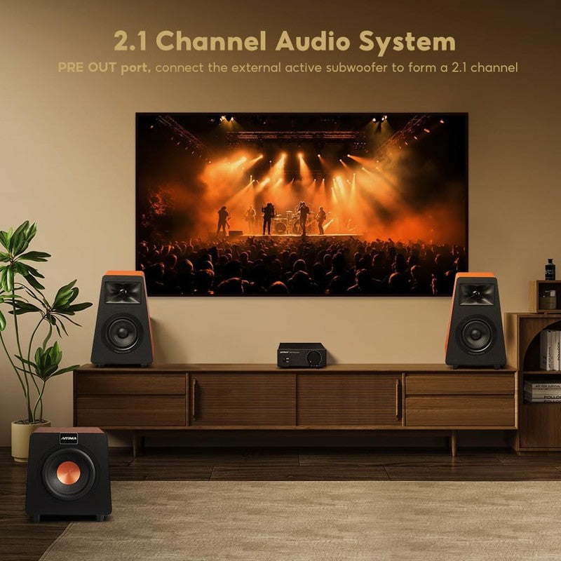 A07 TPA3255 2 Ch 300Wx2 Class D Hi Fi Mini Amp Pre Out Home/Bookshelf Audio6