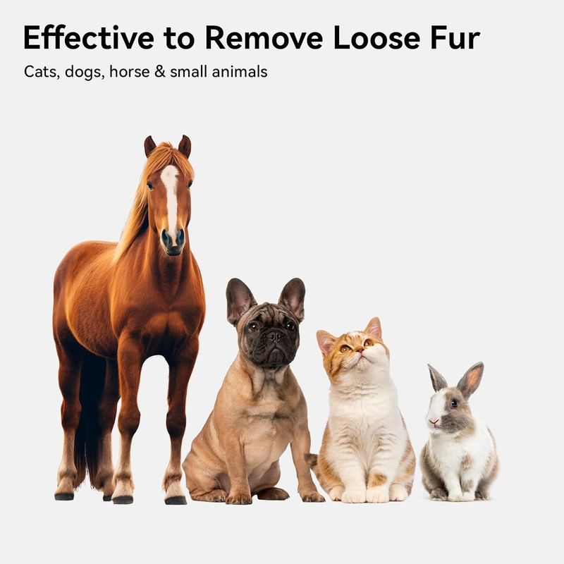 Cat Dog Grooming Brush Shedding Loose Fur Long Short Hair Pets Purple Pet Brush1