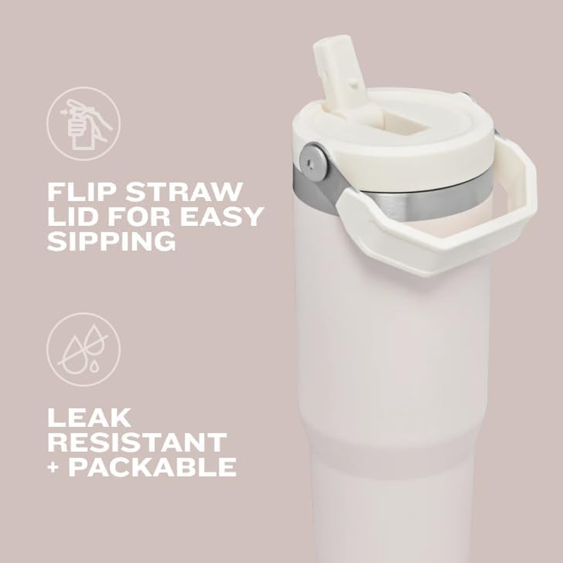 30oz Flip Straw Tumbler Stainless Steel Insulated Leak Resistant Handle Sienna7