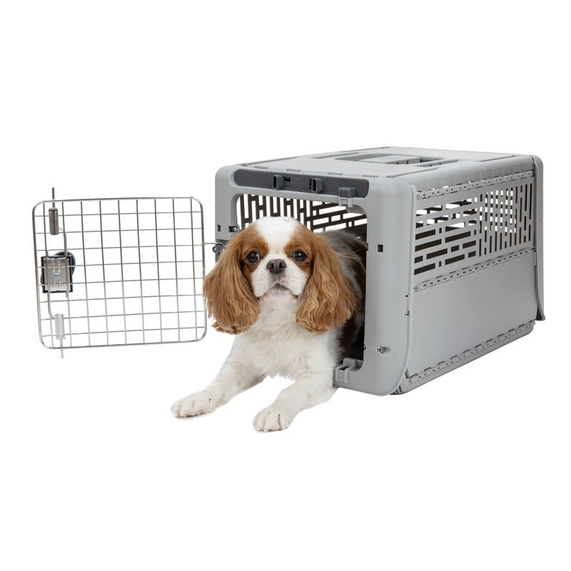Sport Pet Designs 19-Inch Collapsible Plastic Dog Kennel, Portable Folding Pet C3