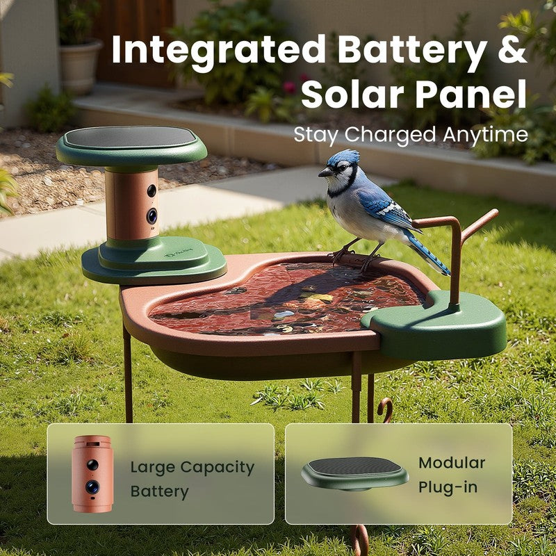 Smart Bird Bath with Camera Solar Powered, AI Identify, Live View, Instant Notif5