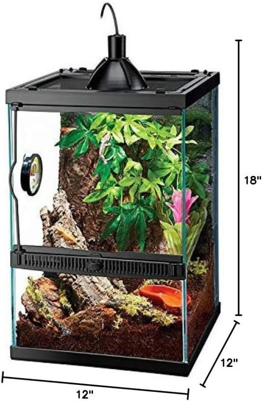 11 Gal Glass Tropical Vertical Habitat for Small Reptiles & Amphibians8