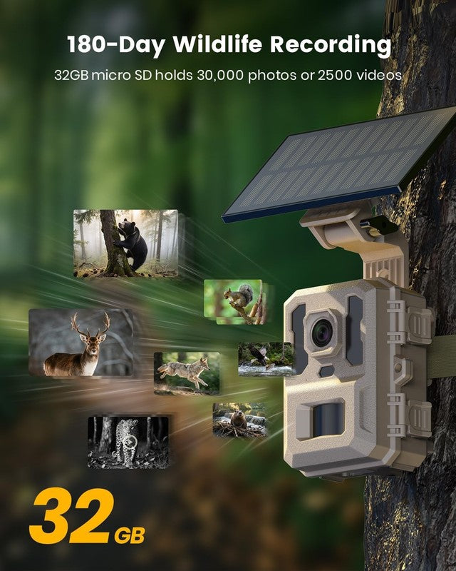 4K UHD Solar Trail Camera 64MP Night Vision 0.1S Trigger App Control IP66 32GB5