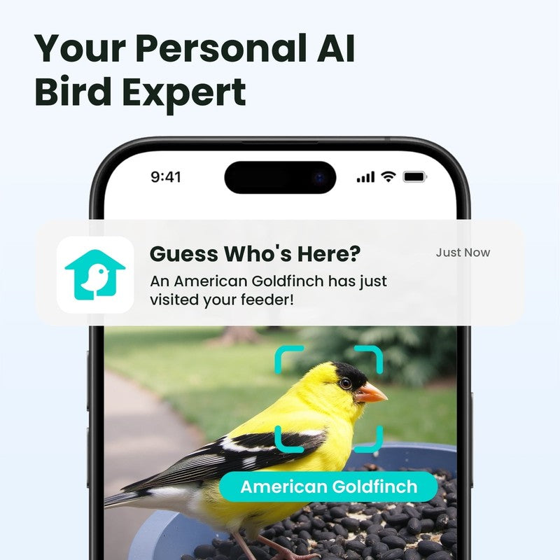 Smart Bird Feeder with Camera, 60FPS Smooth Video, AI Bird Identification & Inst1