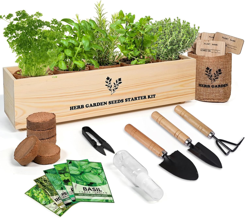 5 Herb Seeds Garden Starter Kit with Complete Planting Kit & Wooden Flower Box, 9