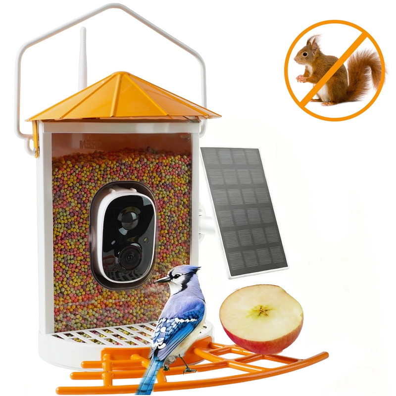 Smart Bird Feeder w Camera Metal Squirrel-Proof AI ID Solar Panels Orange0