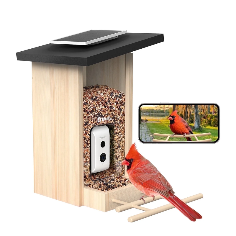Smart Wooden Bird Feeder w/ Camera & Solar, AI ID 6000+ Species, Ebony0