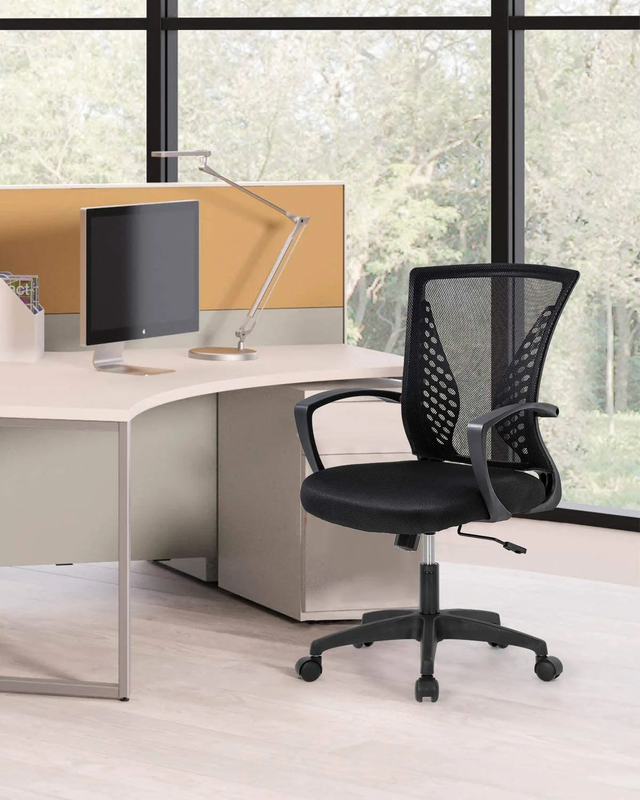 Ergonomic Office Chair with Lumbar Support & Adjustable Armrests - Black5