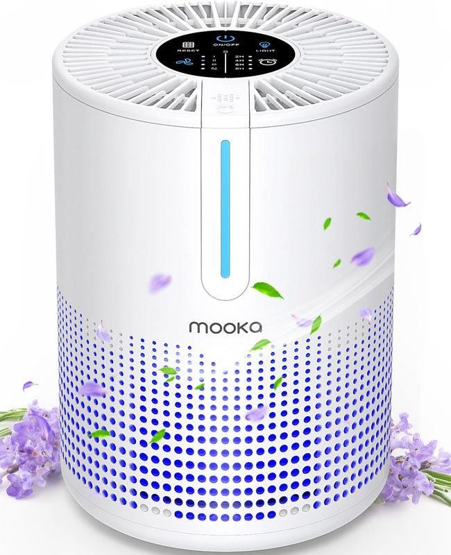 Air Purifier M01 Portable H13 HEPA 430 SqFt USB for Smoke Pets Car RV10