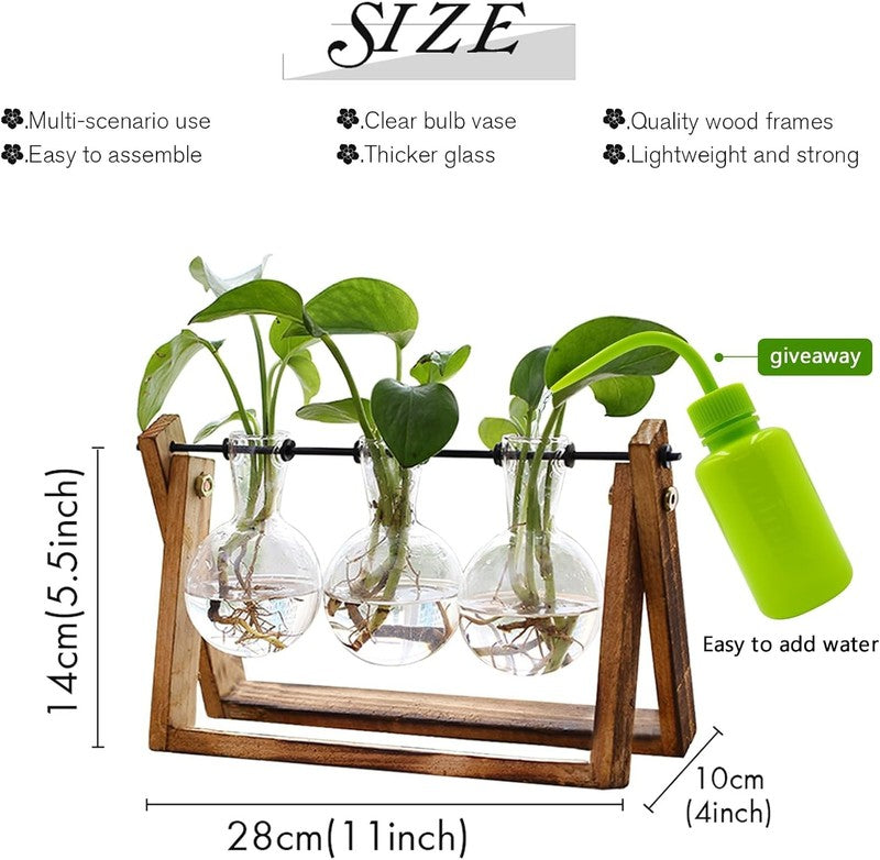 Plant Terrarium with Wooden Stand, Air Planter Bulb Glass Vase Metal Swivel Hold0