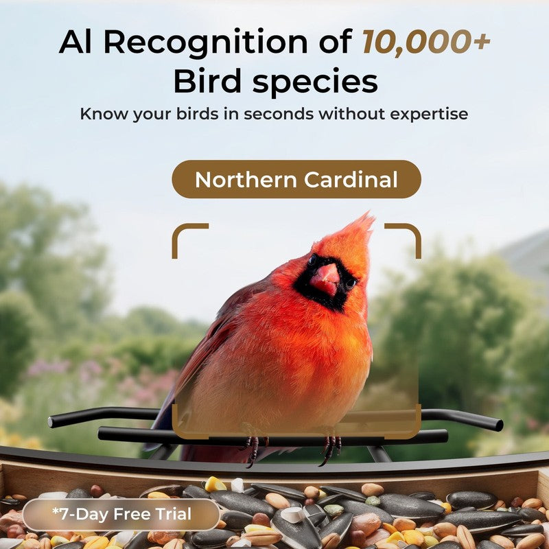 Smart Cedar Wood Bird Feeder w/ Camera, Solar, AI ID 10,000+ Birds2