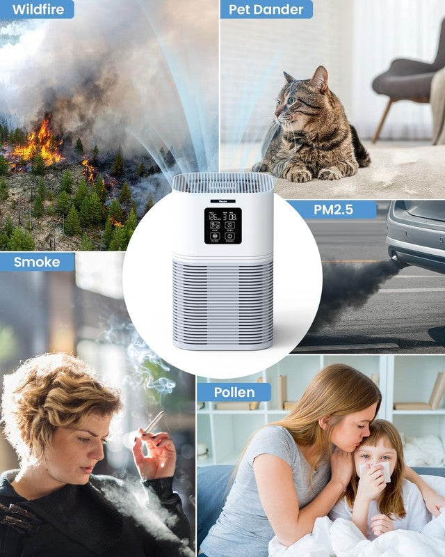 HEPA Air Purifier for Large Rooms, Quiet Pet Dander & Wildfire Cleaner5