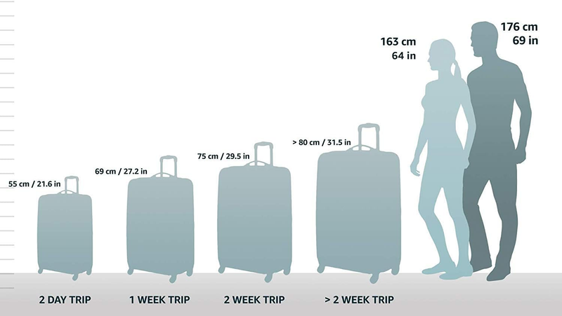 Melbourne Hardside Expandable Spinner Wheel Luggage, Purple, Carry-On 20 Inches1