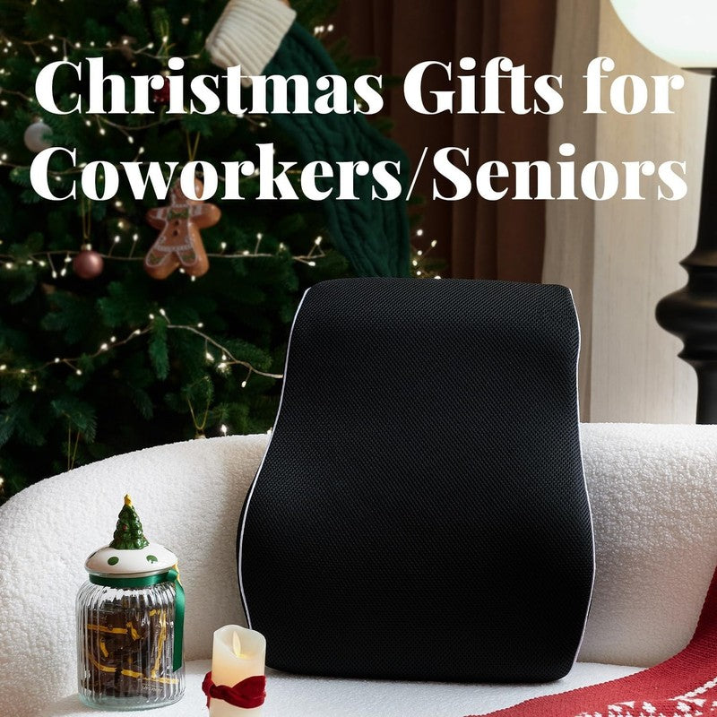 Lumbar Support Pillow for Office Chair, Office Home Essentials,Stocking Stuffers1