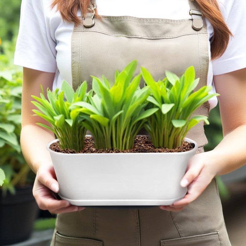 5-Pack Window Herb Planter Boxes w/ Drainage & Trays – Indoor Garden Pots1
