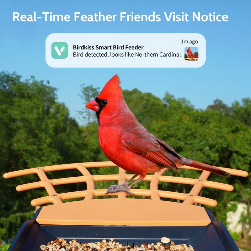 Smart Bird Feeder w 1080P HD Camera AI ID 10,000+ Species Auto Capture4