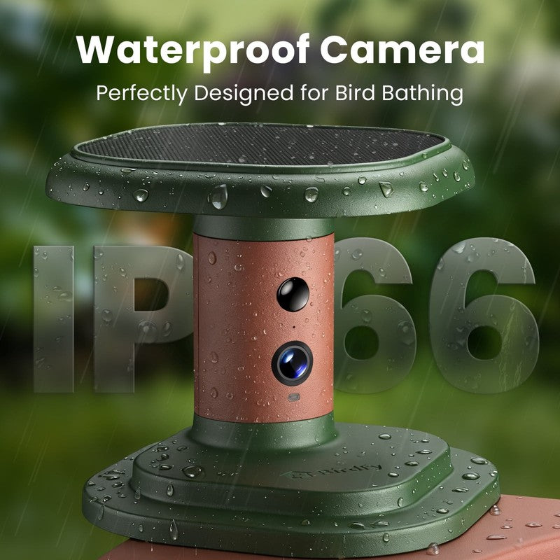 Smart Bird Bath with Camera Solar Powered, AI Identify, Live View, Instant Notif7