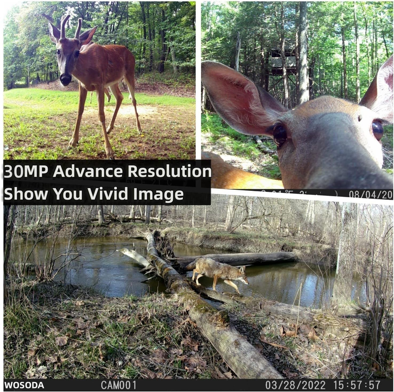 2 Pack 30MP Trail Cameras 1080P Night Vision Motion IP66 SD Card Wildlife Cam1